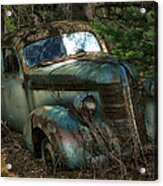 Forgotten In The Forest Acrylic Print