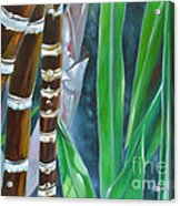 Four Canes For Green Acrylic Print
