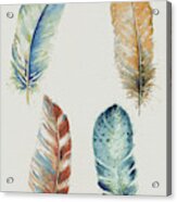 Four Colorful Feathers Acrylic Print