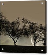 Four Trees And A Moon Acrylic Print
