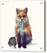 Fox Acrylic Print