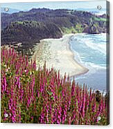 Foxgloves At Cascade Head, Tillamook Acrylic Print