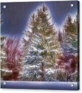Fractalius Winter Pines Acrylic Print