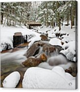 Franconia Notch State Park - White Mountains New Hampshire Usa - Flume Gorge Acrylic Print