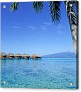 French Polynesia Tahiti Moorea Acrylic Print