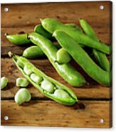 Fresh Broad Beans In Their Pods Acrylic Print