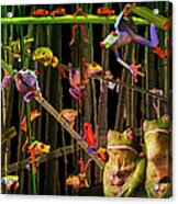 Frog Bog Acrylic Print