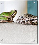 Frog Flatulence - A Case Study Acrylic Print