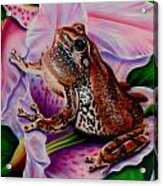 Frog Flower Acrylic Print