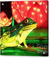 Frog Lantern Acrylic Print