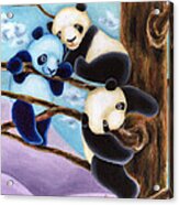 From Okin The Panda Illustration 4 Acrylic Print