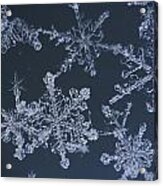 Frost Crystal On Glass Kodiak Isl Acrylic Print