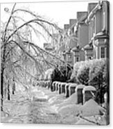 Frozen Suburbia Acrylic Print