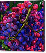 Fruit Full Acrylic Print