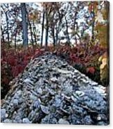 Fungi Tree Acrylic Print