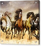 Galloping Horses Full Color Acrylic Print