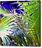 Garden Palms Acrylic Print