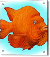 Garibaldi Fish Acrylic Print