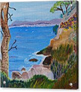 Gazing Out To Sea Acrylic Print