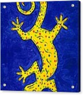 Gecko Wiggle Acrylic Print