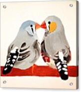 Lovebirds Acrylic Print