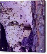 Ghost In The Tree Acrylic Print