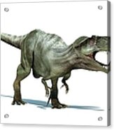 Giganotosaurus Dinosaur, Artwork Acrylic Print