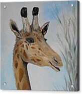 Giraffe Smile Painting by Rhonda Lee | Fine Art America