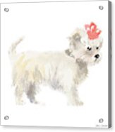 Girly Puppy Acrylic Print