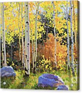 Glowing Aspen Acrylic Print