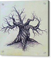Gnarled Tree Acrylic Print