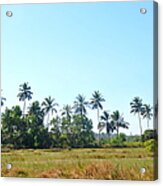 Goa Landscape Acrylic Print