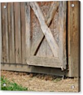 Goat Peeking Out Of Barn Acrylic Print