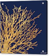 Gold Medley On Navy Acrylic Print