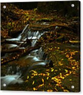 Golden Staircase Acrylic Print