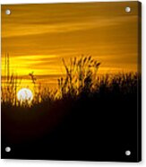 Golden Sunrise Acrylic Print