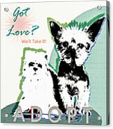Got Love Adopt A Pet Poster Art Acrylic Print