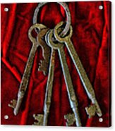 Steampunk - Old Skeleton Keys Canvas Print / Canvas Art by Paul Ward - Fine  Art America