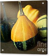 Gourds Aglow Acrylic Print