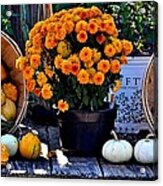 Gourds And Marigolds Acrylic Print