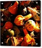 Gourds Acrylic Print