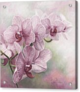 Graceful Orchids Acrylic Print