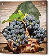 Grapes And Leaves In Basket Acrylic Print