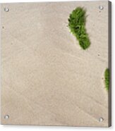 Grass Footprints On A Sandy Beach Acrylic Print