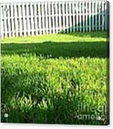 Grass Shadows Acrylic Print