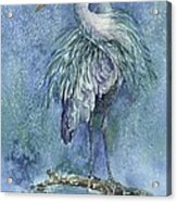 Great Blue Heron Splatters Acrylic Print