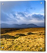 Great Grass Sea - Isle Of Skye Landscape Acrylic Print