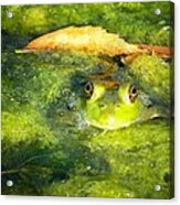 Green And Mean Acrylic Print