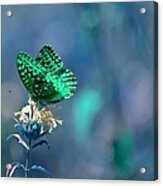 Green Acrylic Print