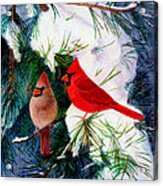 Greeting Cardinals Acrylic Print